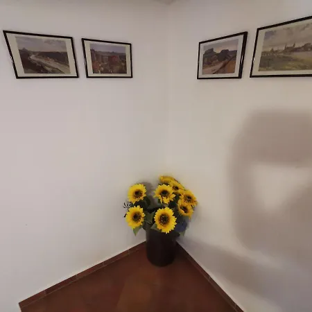 Apartment Belvedere *